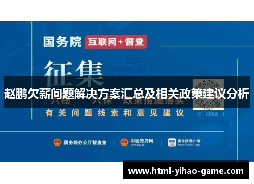 赵鹏欠薪问题解决方案汇总及相关政策建议分析